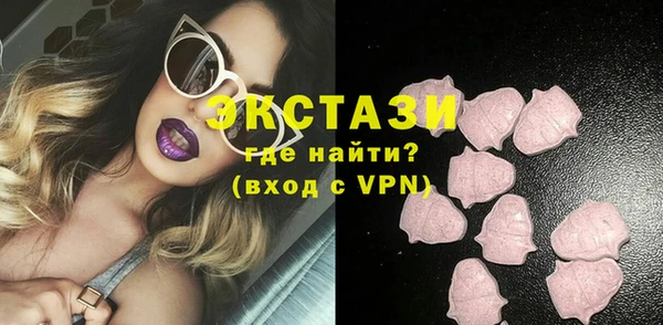 крисы Богородицк