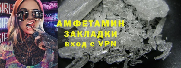 крисы Богородицк