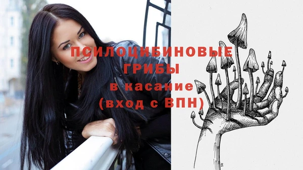 a pvp Богородск