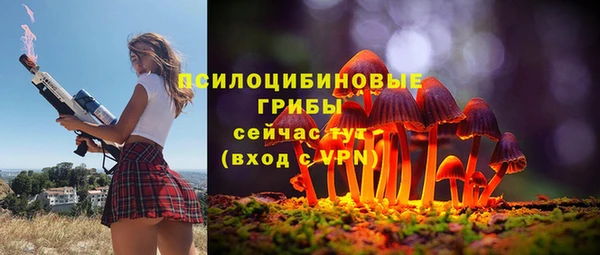 jwh Белокуриха