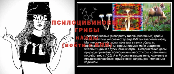 a pvp Богородск